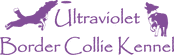 ultraviolet border collie kennel